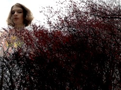 Freeroam 112 :: GIWTWM 2: The Goner's Conduit