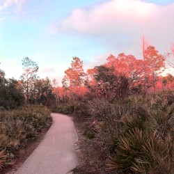 Where All Things May Be