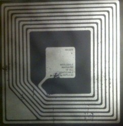 Wholesale Massacre of All Identifiable Replicas