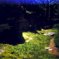 Improvisations for Hylian Horn & Pipe Organ