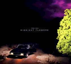 Midnight Flowers