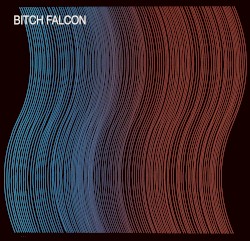 Bitch Falcon