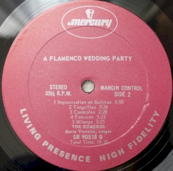 A Flamenco Wedding Party