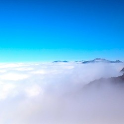 Seek, And You Shall Find