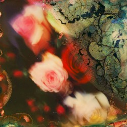 Photos From the Flood