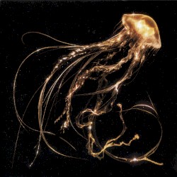 Back to the Water Below