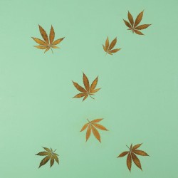 [untitled]