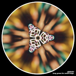 Long Grass for Small Frogs