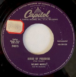 Birds of Paradise / Una casa Portuguesa