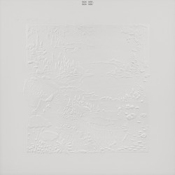 Bon Iver