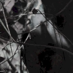 Twilight of Perception 10