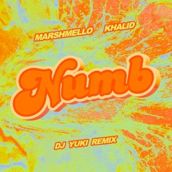 Numb (DJ YUKI remix)