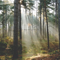 La presencia de las personas que se van