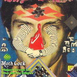 Whipped Stream and Other Earthly Delights