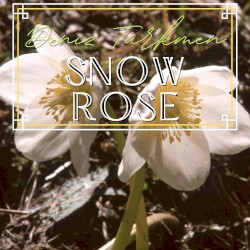 Snow Rose