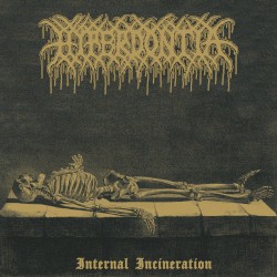 Internal Incineration