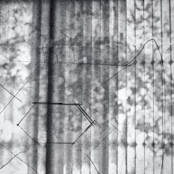 Seldom We Come Home Without Hurting of Conscience