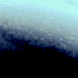 Coronach for Gynoids