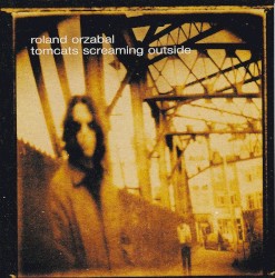 Tomcats Screaming Outside