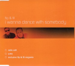 I Wanna Dance With Somebody