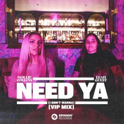 Need Ya (I Don't Wanna) (VIP mix)