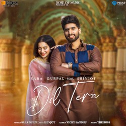 Dil Tera