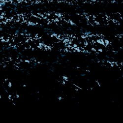 Chained To Your Garden