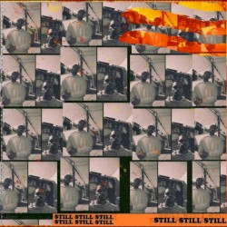 still still still