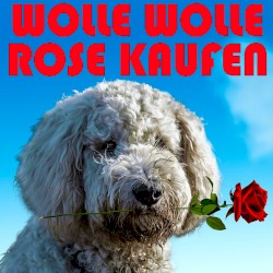 Wolle Wolle Rose kaufen