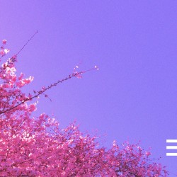 Sorrow Doesn't Resurrect