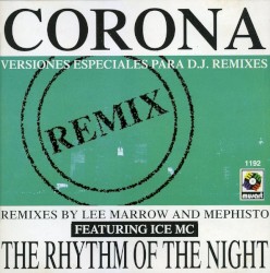 The Rhythm Of The Night (Remix)