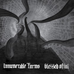 Innumerable Forms / Blessed Offal