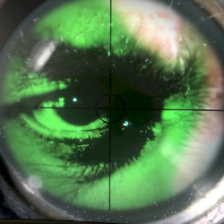 Evil Renegade/X Lover