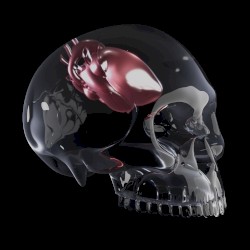 DEVOLUTION (Part. 1)