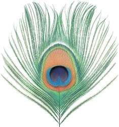 Apple Venus: Volume One