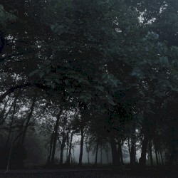 nothing is real, part XVI