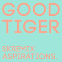 Aspirations (SK remix)
