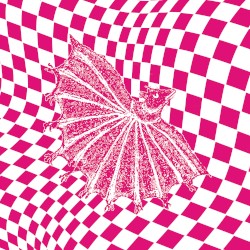 Ignore Grief (remixes)