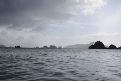 Tribes at the Temple of Silence