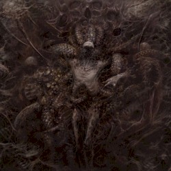 In the Name of the Father