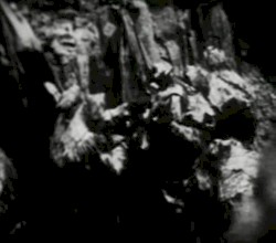 Begotten Chapter XI