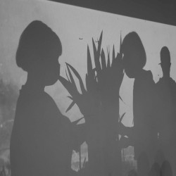 Concurrent: A Biosensory Ballet