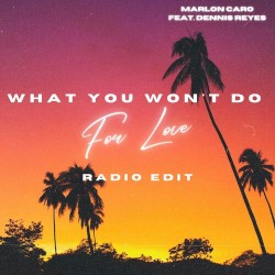 What You Won't Do For Love