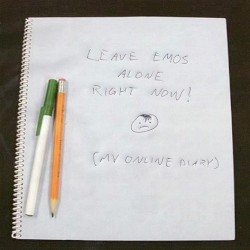Leave Emos Alone Right NOW! (My Online Diary)
