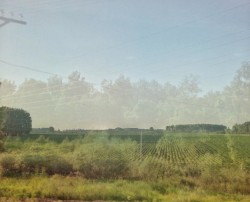 旅