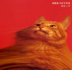 名前をつけてやる