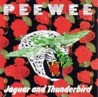 Jaguar and Thunderbird