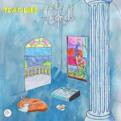TEAC Life