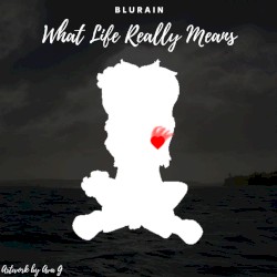 What Life Really Means