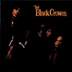 Shake Your Money Maker